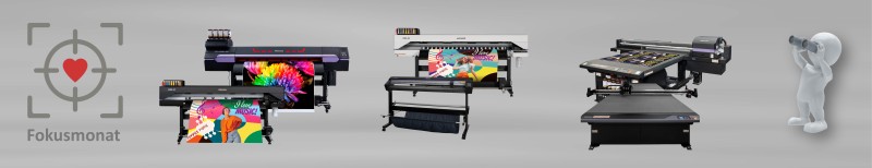 DP Solutions Fokusmonat